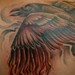 Tattoos - Raven with Flames - 49995